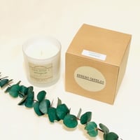 Image 3 of EUCALYPTUS + SPEARMINT