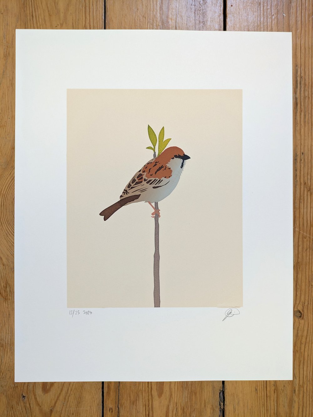 Image of Tree Sparrow