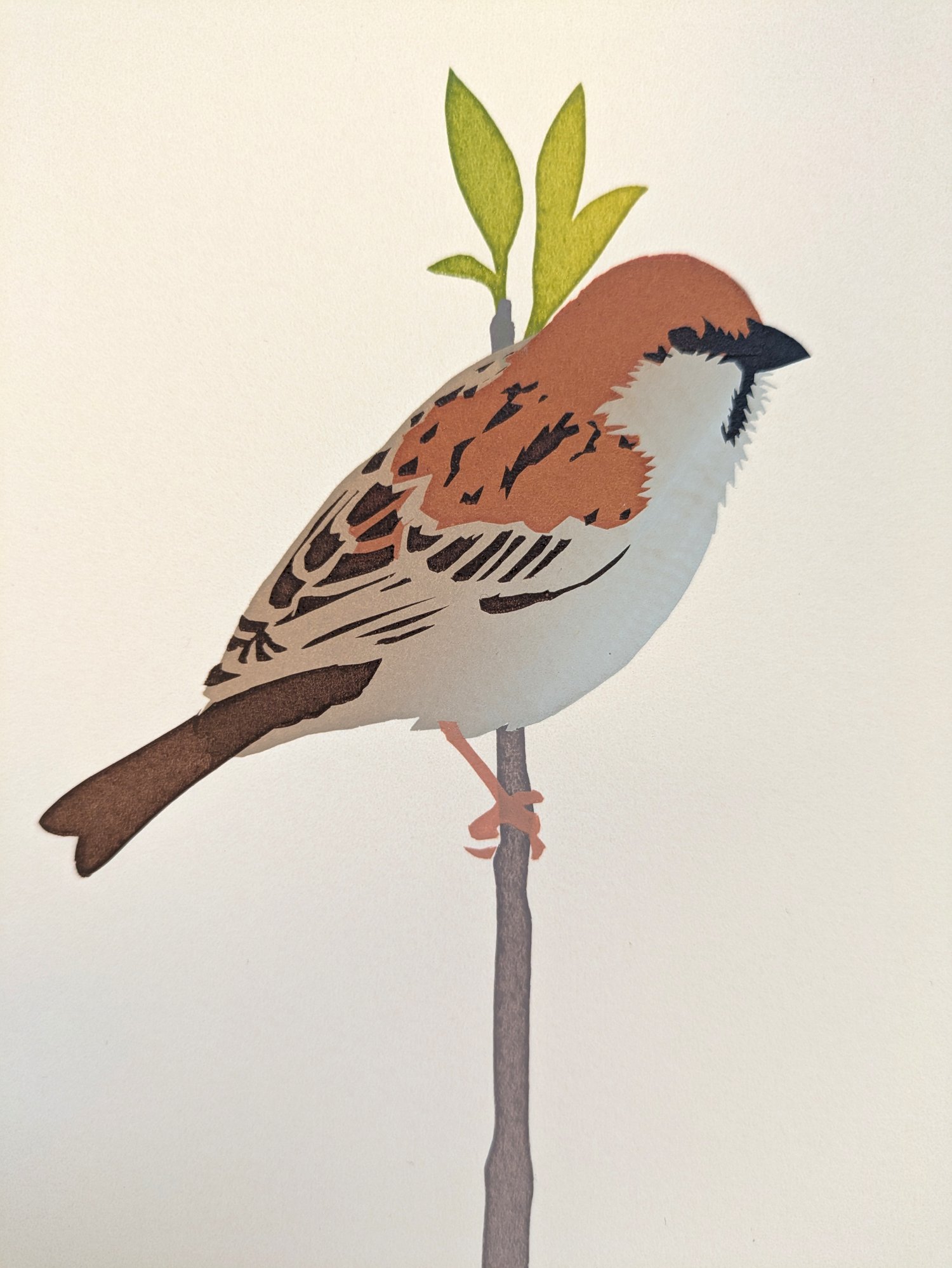 Image of Tree Sparrow