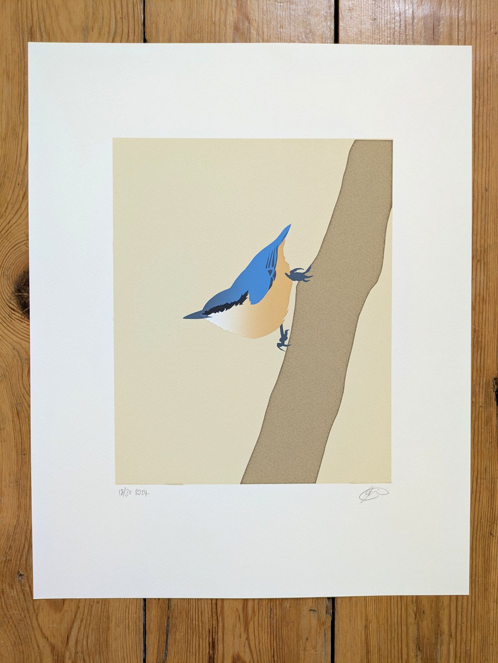 Image of Nuthatch