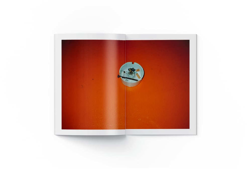 LeftOver 2 - Paolo Coppolella