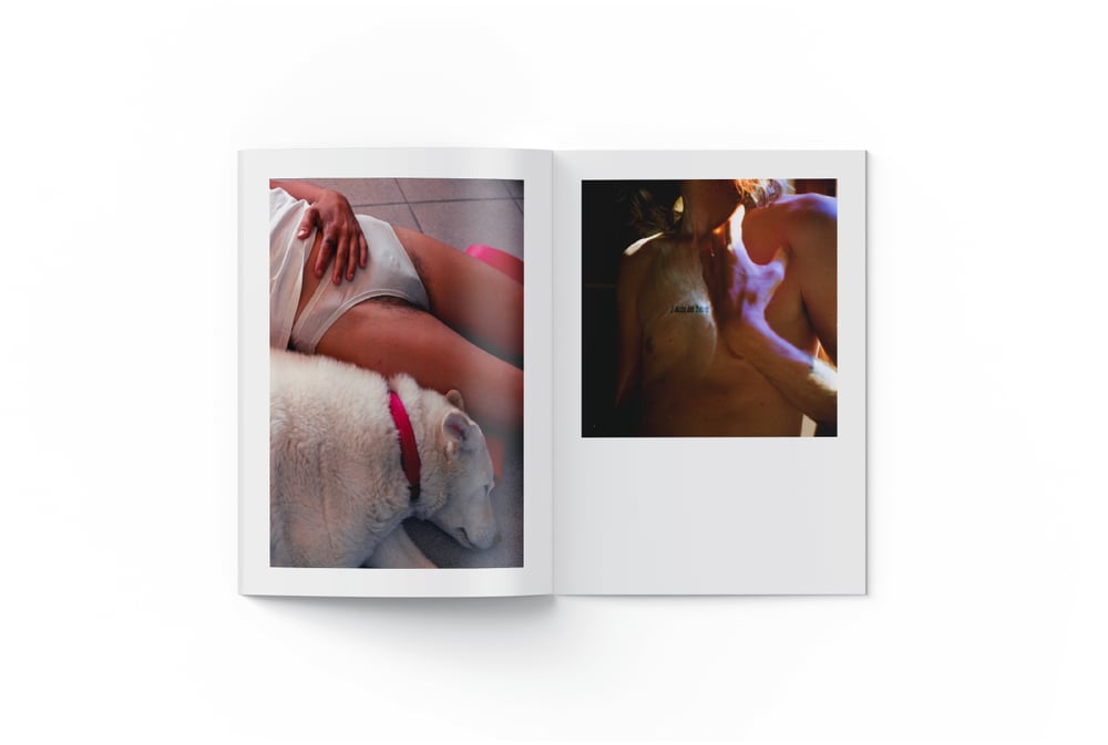 Rooms and Voids - Lilia Carlone