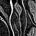 Image of THE BLACK SUN #6