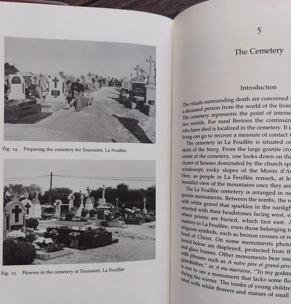 The Appointed Hour: Death, Worldview, and Social Change in Brittany, by Ellen Badone