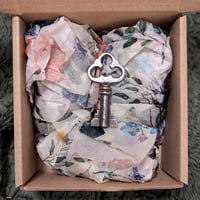 Image 5 of Curio Mystery Box