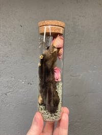 Image 1 of Black Lucky Rabbit Foot