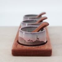 Image 6 of Hikers Condiment Server Set