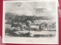 Image 2 of Antique Red Deer Engraving Print (Photogravure) by J G Millais (b 1865), Small Picture, Framed 