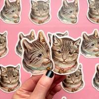 Image 1 of Tabby cat sticker (your choice pink or blue)