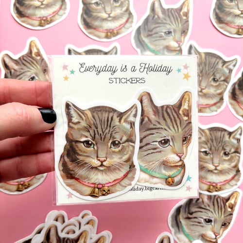 Image of Tabby cat sticker (your choice pink or blue)