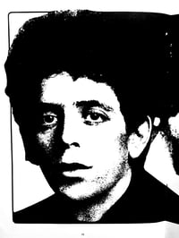 Image 3 of LOU REED AND THE VELVETS - NIGEL TREVENA
