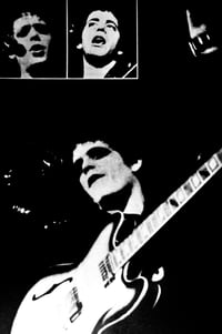 Image 4 of LOU REED AND THE VELVETS - NIGEL TREVENA