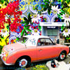 Funky Vehicles & Flowers 4 Pack