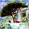 Greeting Cards Mediterranean Pines, Cacti, Bougainvillea, Statues & Tiles