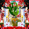 Greeting Cards Mediterranean Pines, Cacti, Bougainvillea, Statues & Tiles