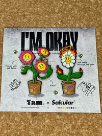 Im okay pin set 