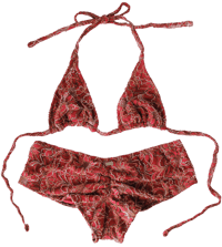 Image 1 of ♲ Amaryllis Boyshort Set - M/L 