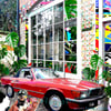 Greeting Cards Classic Cars Set of Four  .