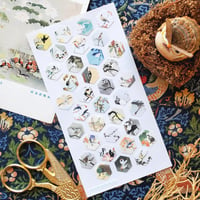 Image 1 of Bird Print Beauties Sticker Sheet