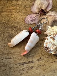 Image 3 of Shell earrings. n147