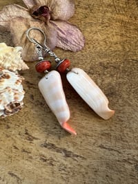 Image 5 of Shell earrings. n147