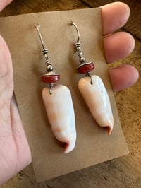 Image 10 of Shell earrings. n147