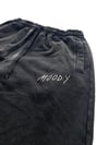 "Curious" Sweatpants