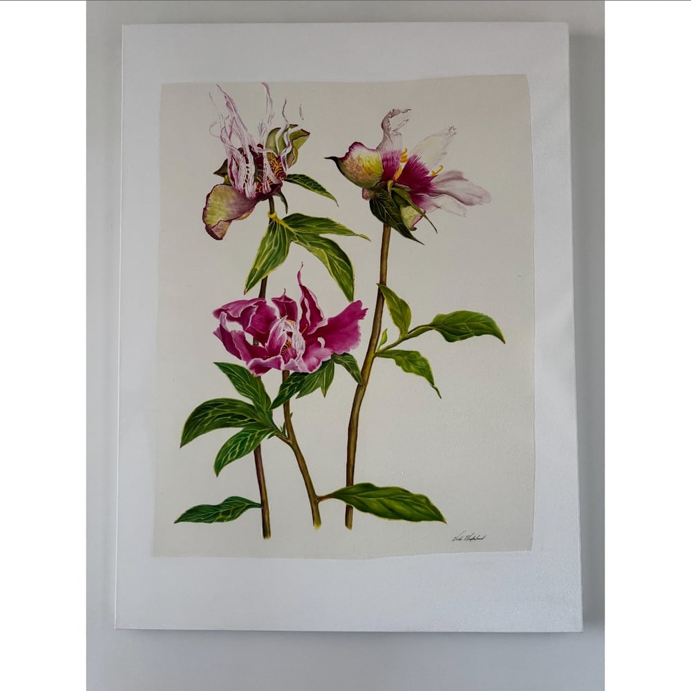 Image of PEONY TRIO