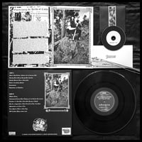 Image 4 of AS THE SHADOWS ENVELOP ME “Fedrekult” LP [SORCERY-058] 