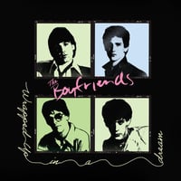 the BOYFRIENDS - "Wrapped Up In A Dream' LP