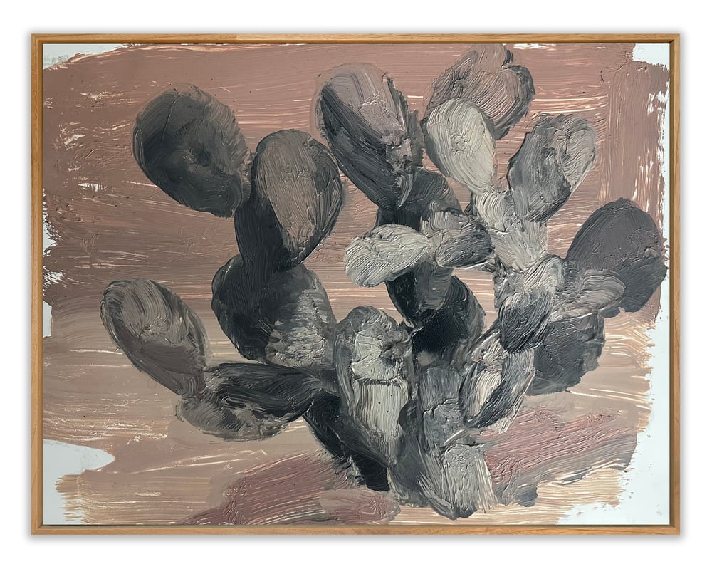 Image of Victor Hugo Zayas | CACTUS II