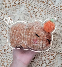 Baby Capybara 
