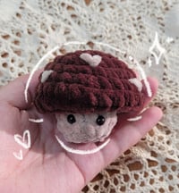Shitake Popit Mushroom