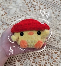 Image 2 of Pocket Chicks