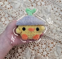 Image 1 of Pocket Chicks