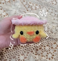 Image 4 of Pocket Chicks