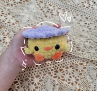 Image 5 of Pocket Chicks