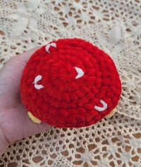 Image 3 of Pocket Chicks