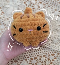 Image 4 of Cat Floofballs