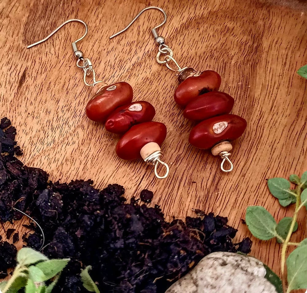 Image of Earthy Gaia Nut Earrings - OOAK