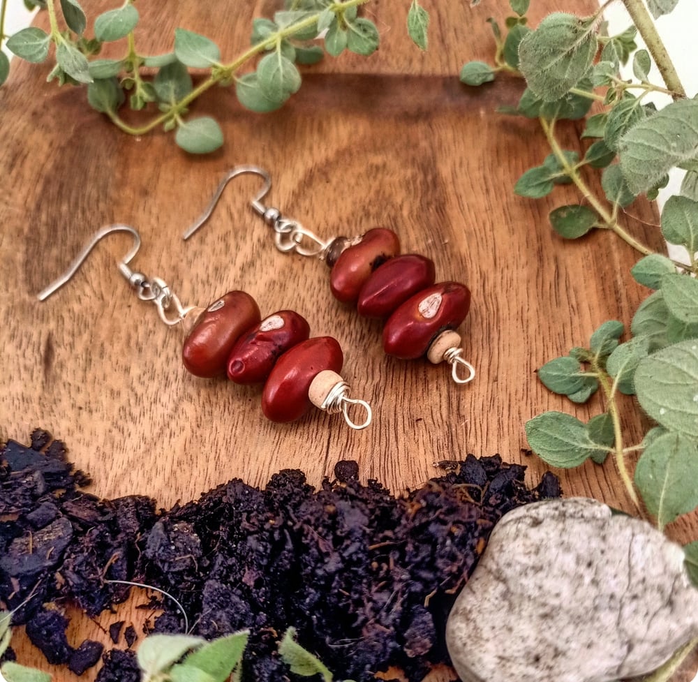 Image of Earthy Gaia Nut Earrings - OOAK