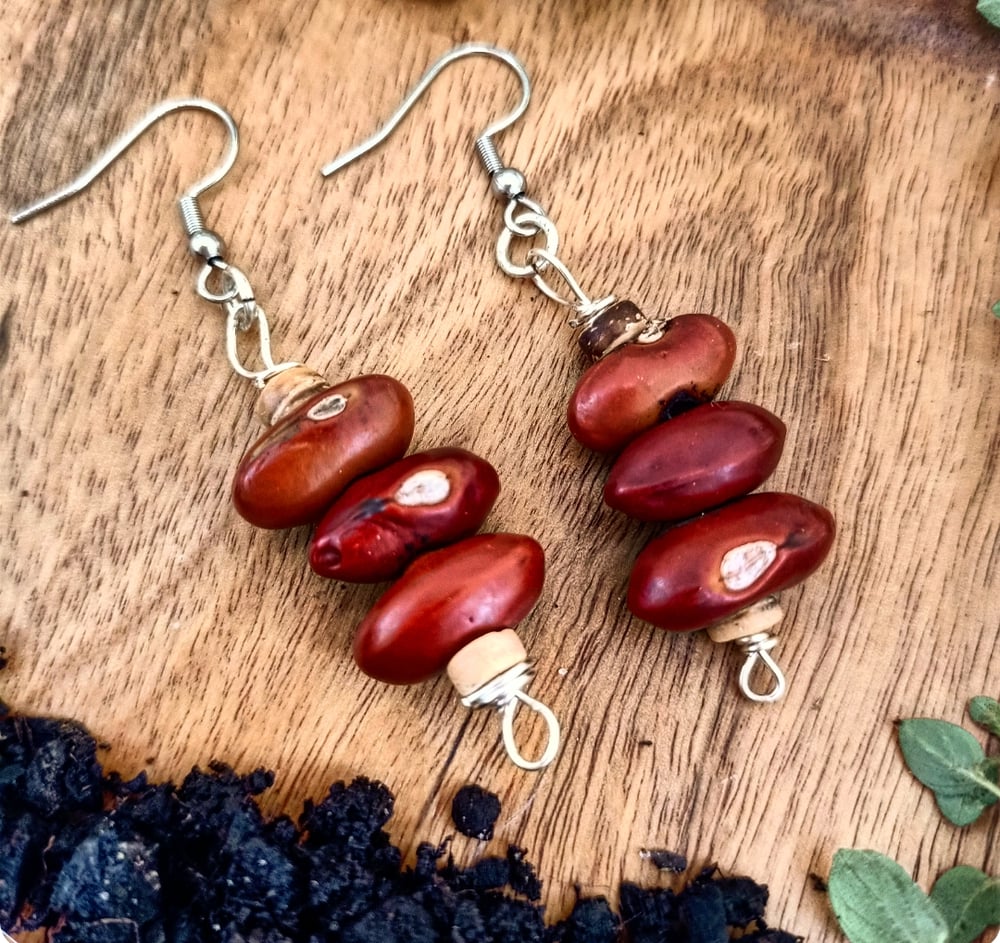 Image of Earthy Gaia Nut Earrings - OOAK