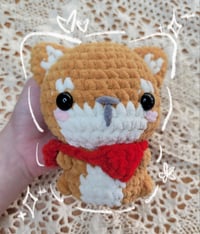 Baby Corgi
