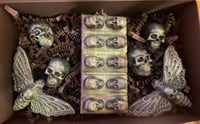 Death Box wax melts (Moth)