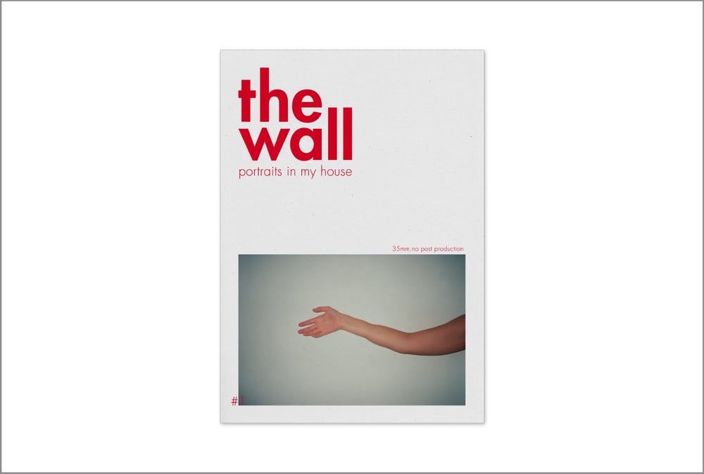 The Wall 1 - Paolo Coppolella