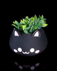 Image 1 of Cute Cat Planter