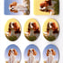 The Dog Collection 'Cavalier' Sticker Sheet Image 2