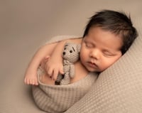 Image 6 of Knitted teddy pastel