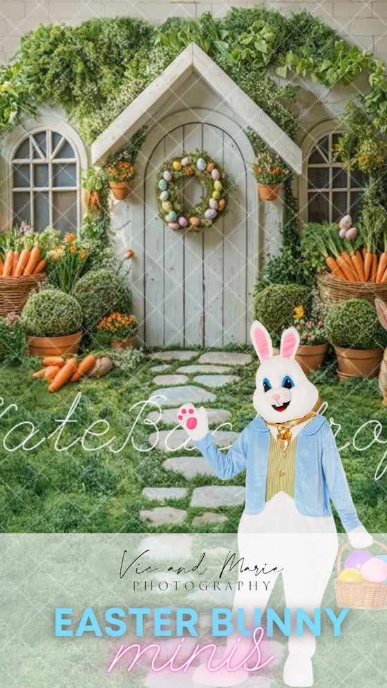 Image of  Easter Bunny Minis APRIL 5th