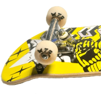 Image 1 of Reversible 79s